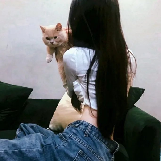 司藤